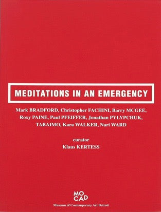 Meditations in an Emergency